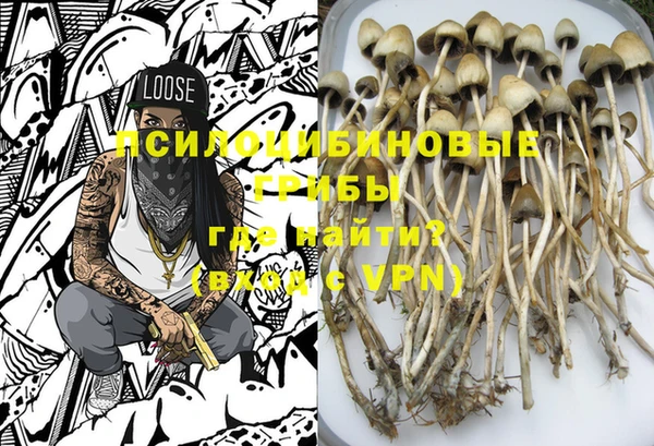 каннабис Майский