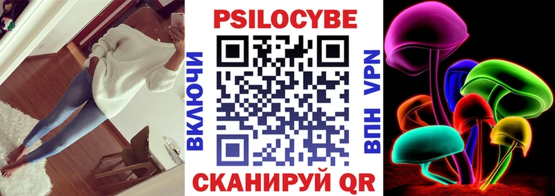 Псилоцибиновые грибы Psilocybe  площадка клад  Сясьстрой  купить  цена 