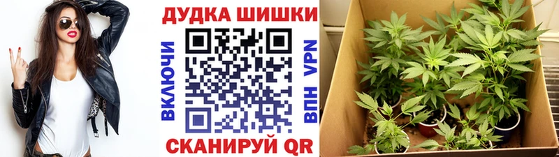 блэк спрут ссылка  сколько стоит  Сясьстрой  Канабис план 